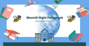 Moonlit Night Paragraph