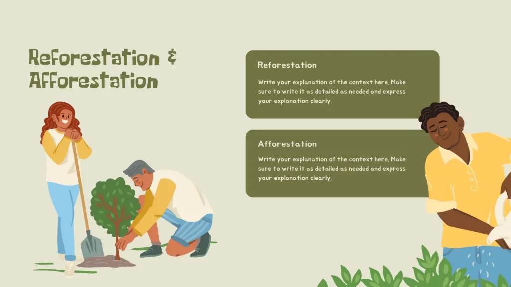 reforestation - climate change paragraph 